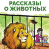 Рассказы о животных Бориса Житкова. Библиотека школьника