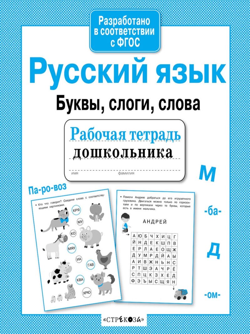 Рабочая тетрадь дошкольника "Русский язык. Буквы, слоги, слова"