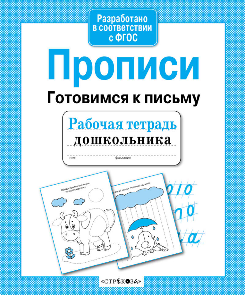 Рабочая тетрадь дошкольника "Прописи. Готовимся к письму"
