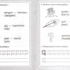Рабочая тетрадь дошкольника "Английский язык. ABC-book & Прописи"