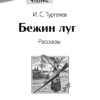 Книга для детей "Бежин луг". Внеклассное чтение