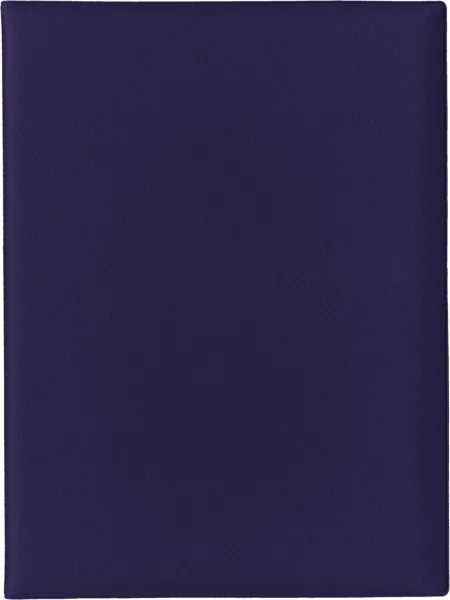 Папка для документов А4  Фиолетовая