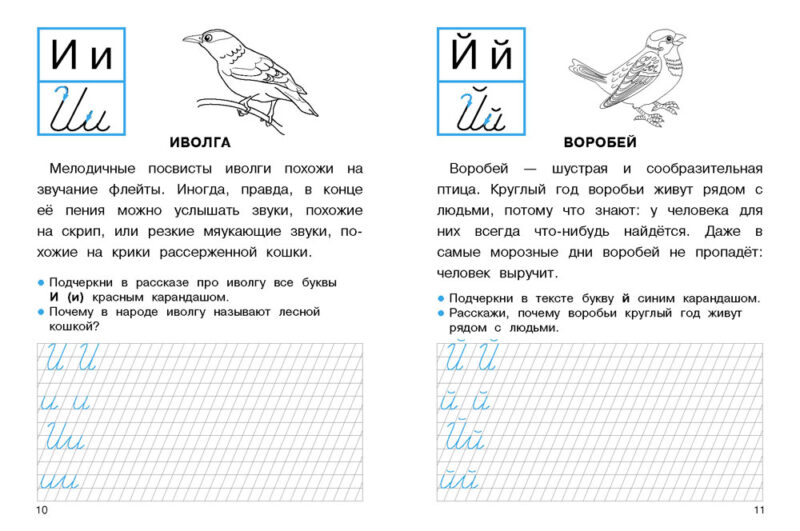 Прописи для 1 класса с рассказами о животных