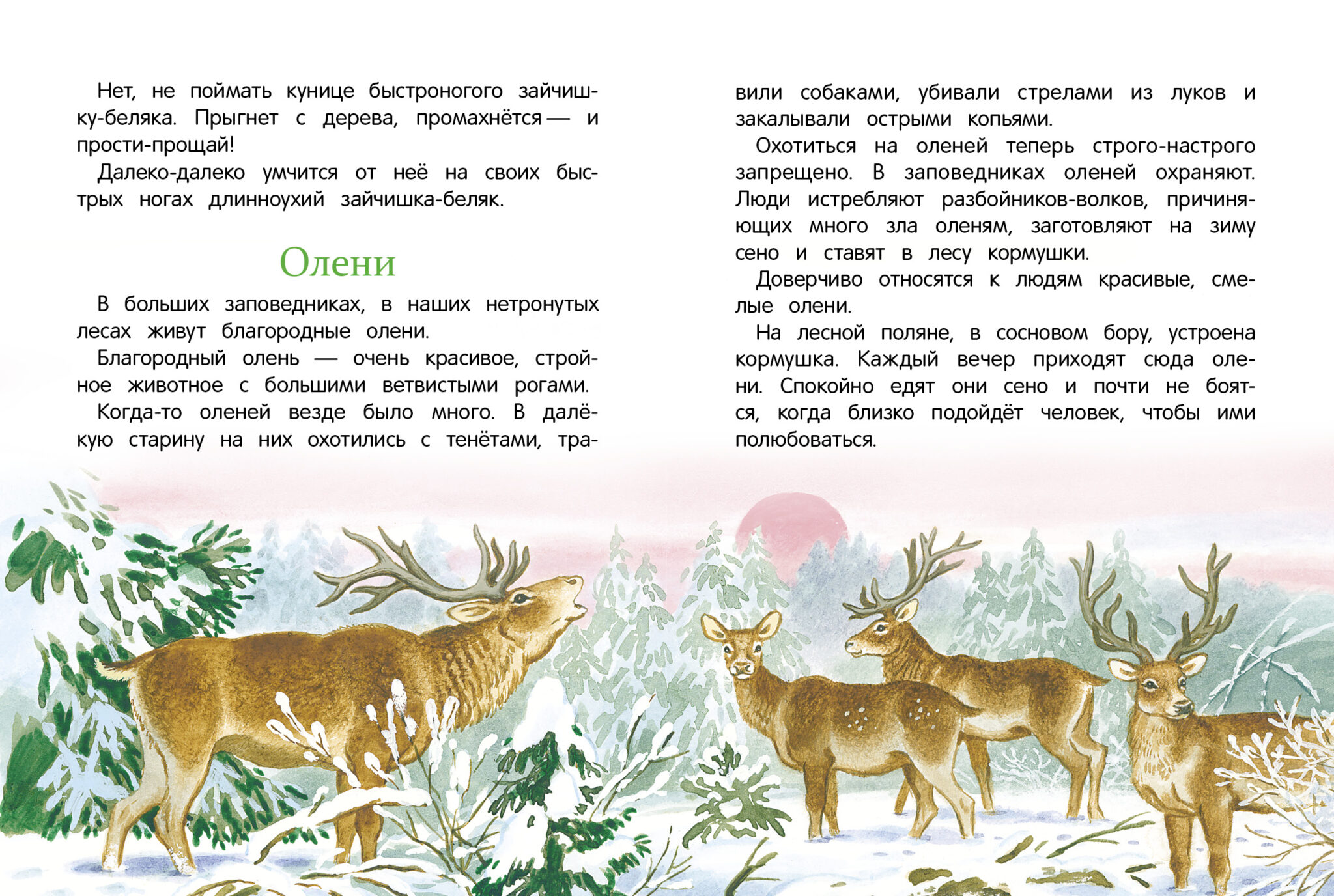 Рассказы о природе 2 класс. Рассказы о природе Соколова Микитова. Рассказы о природе Соколова-Микитова книга. Соколов Микитов русские сказки о природе. Северные рассказы Иван Соколов Микитов.