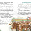 Оля+Маринка+Генка. Детская художественная литература