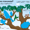 Детеныши животных. Наклейки с заданиями