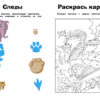 Джунгли. Наклейки с заданиями