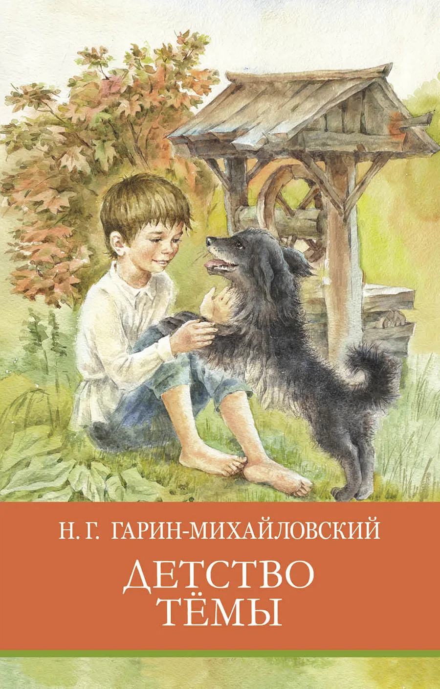 Книга Гарина Михайловского детство темы