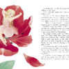 THUMBELINA (Дюймовочка на англ. языке). Детская художественная литература