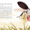 THUMBELINA (Дюймовочка на англ. языке). Детская художественная литература