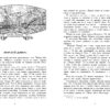 Человек-амфибия. Книга для подростков (КДП)
