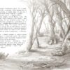 Таинственный сад. 100 Лучших книг