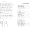 Маленькие женщины замужем. 100 Лучших книг