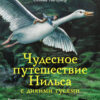 Чудесное путешествие Нильса с дикими гусями. 100 Лучших книг