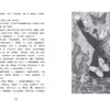 Тигры не целуются со львами. Маленькая мисс Дулиттл