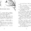 Близнецы. Между мирами. Книга 2