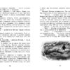 Грифоны. Орден драконов