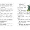 Таежный квест. ЧНВ. Книга для подростков