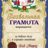 Письмо от Деда Мороза. Выпуск 3