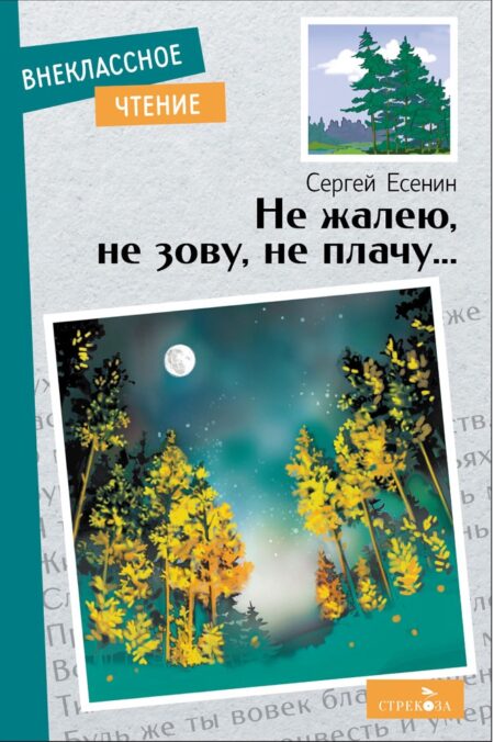 Не жалею, не зову, не плачу…. Внеклассное чтение
