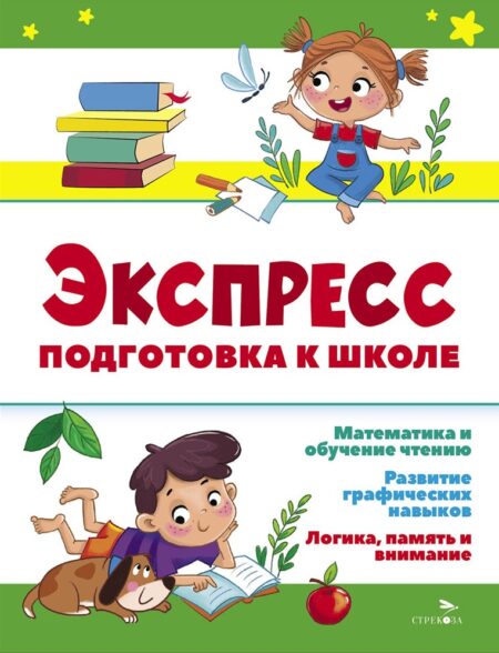 Подготовка к школе. Экспресс-подготовка к школе