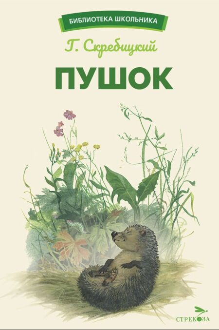 Пушок. Скребицкий. Библиотека школьника