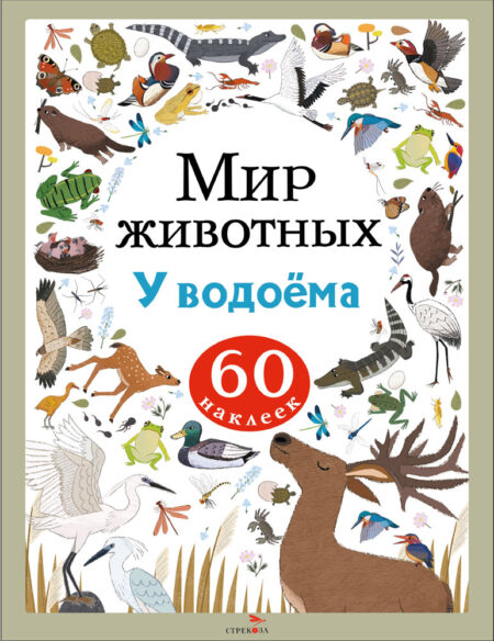 У водоёма. Мир животных. Наклейки