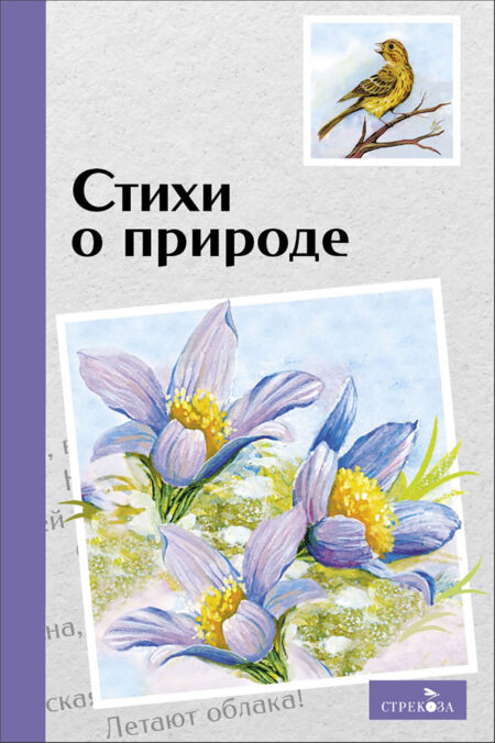 Стихи о природе. Внеклассное чтение