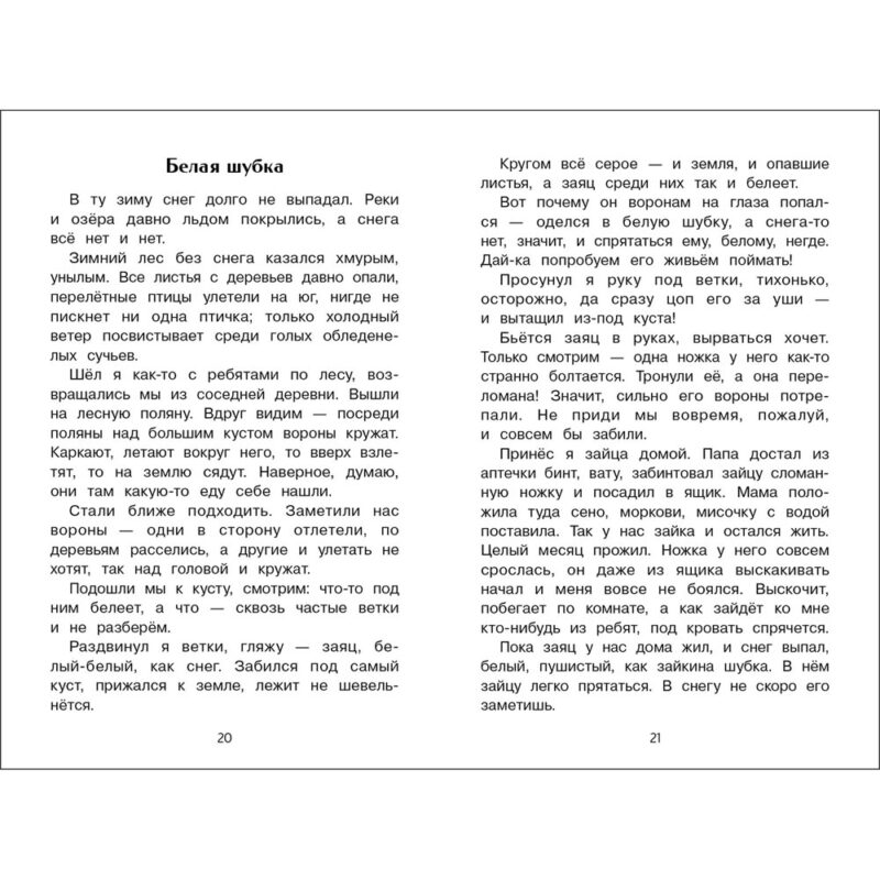 Лесное эхо. Внеклассное чтение