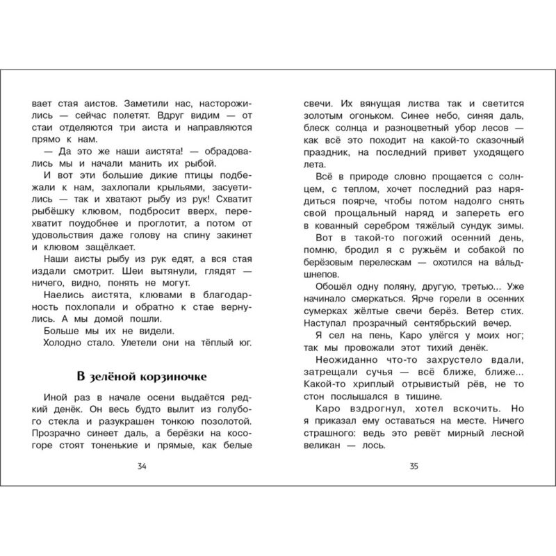 Лесное эхо. Внеклассное чтение