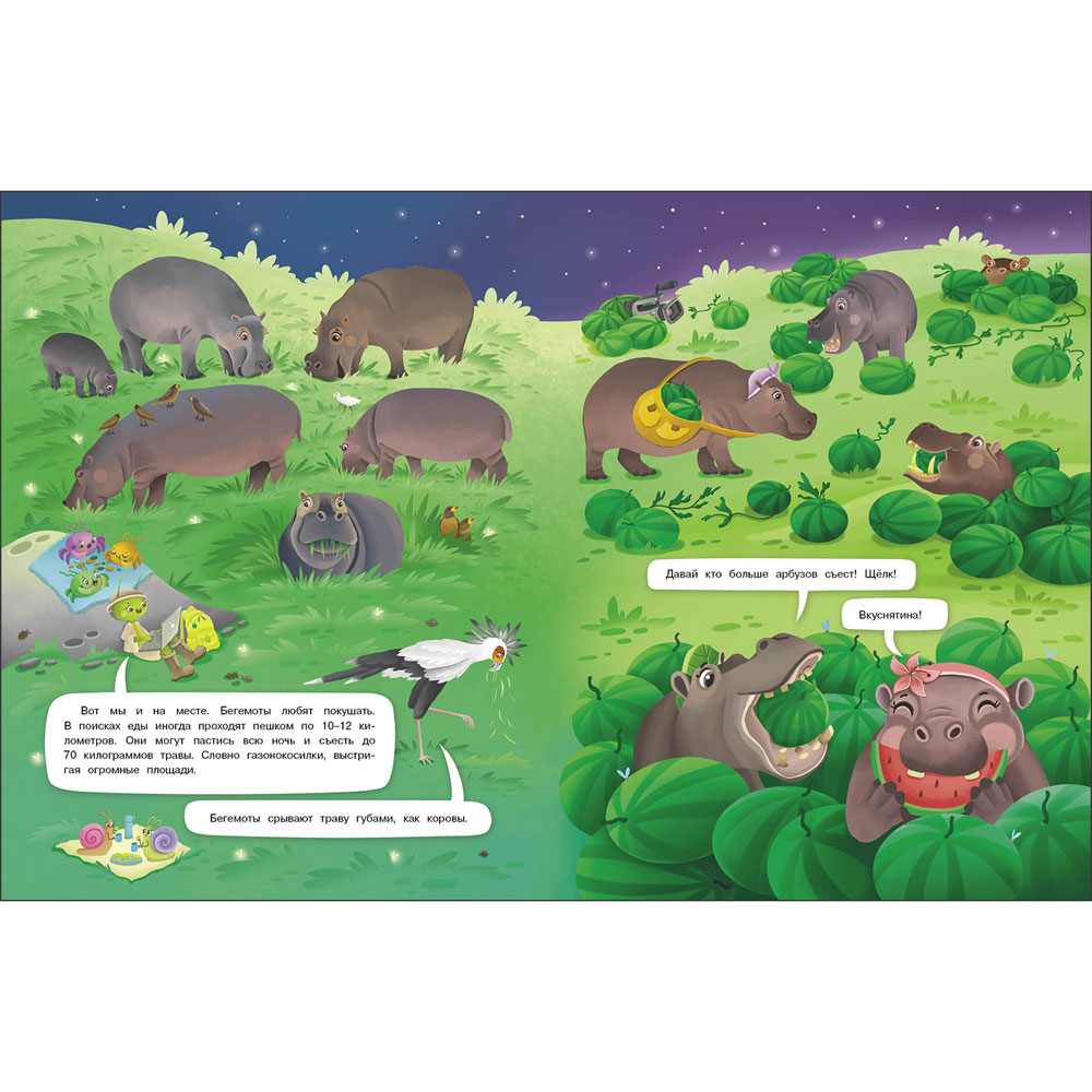 Бегемоты. Интервью вприпрыжку. Репортер Пружинка