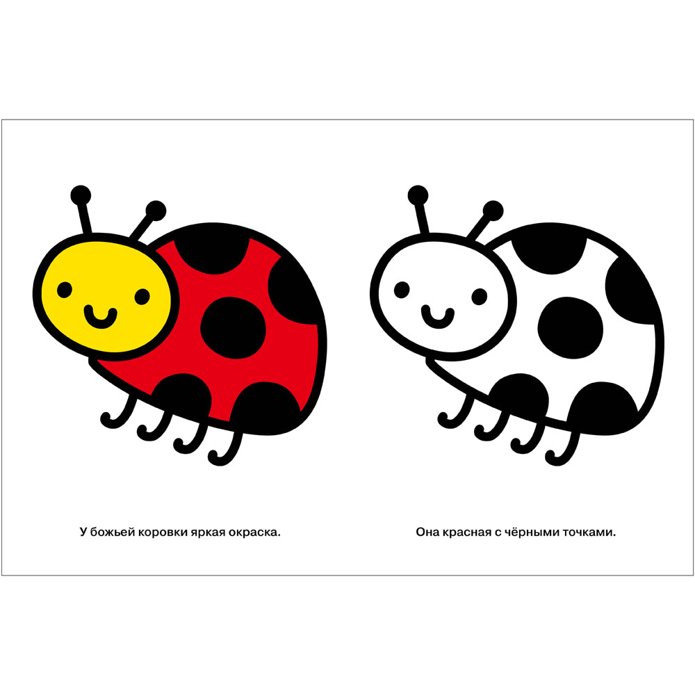Моя первая раскраска Ясельки. Выпуск 3. Божья коровка