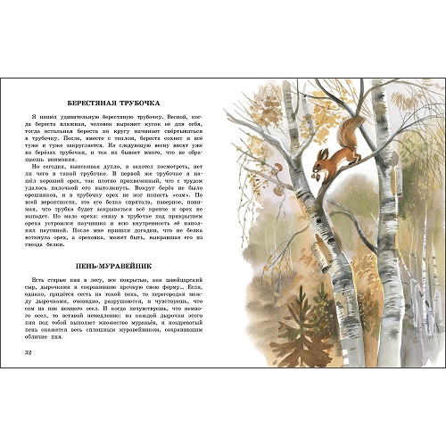 Беличья память. Семейные ценности. Книги нашего детства