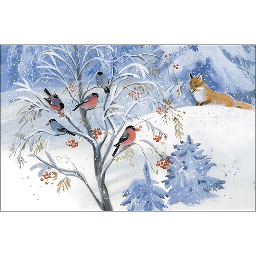 Беличья память. Семейные ценности. Книги нашего детства