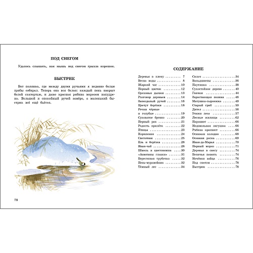 Беличья память. Семейные ценности. Книги нашего детства