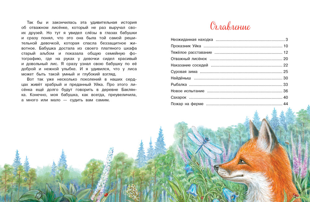 Приключения Уйки. Детская художественная литература